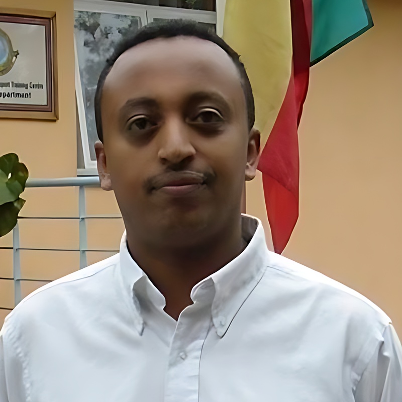 Team Member